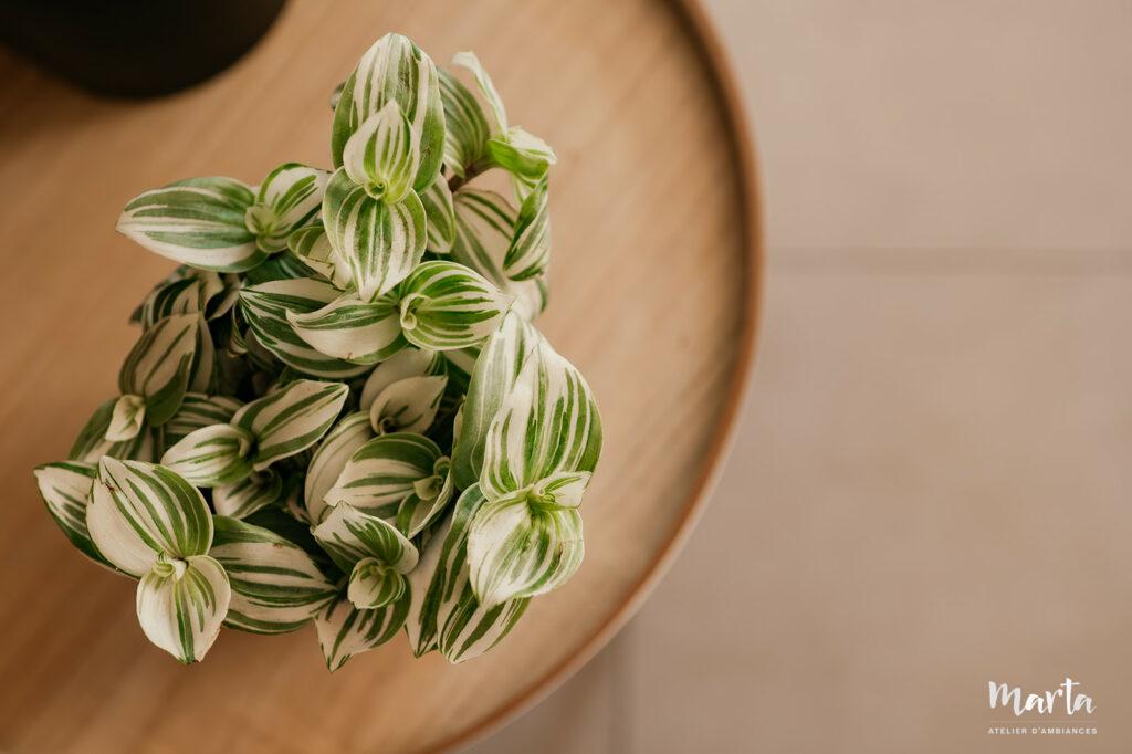 Marta Architecte d'intérieur